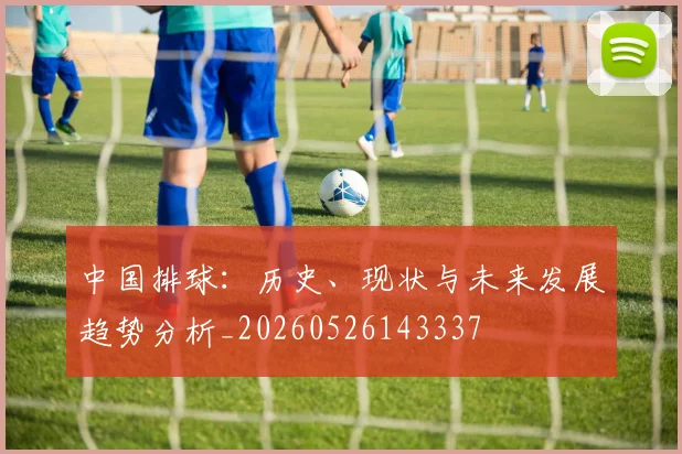 中国排球:历史、现状与未来发展趋势分析_20260526143337